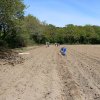 Avril 2018  - Plantation de pommes de terre